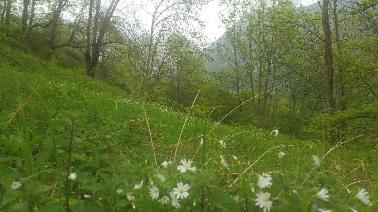 Ca L'estrella * Queralbs (Caralps)